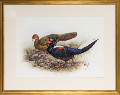Lot 203 - Complete Set of 32 Prints from The Rare Birds of China with Original Watercolor from The Rare Birds of China