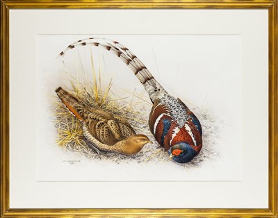 Lot 256 - Set of Limited Edition Prints for The Rare Bird of China by Lansdowne with Original Water Color