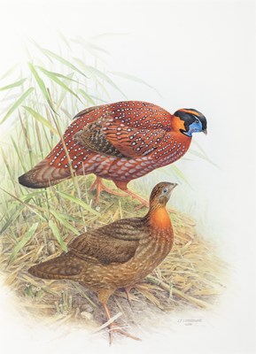 Lot 525 - The Rare Birds of China by Lansdowne, with an Original Watercolor from The Rare Birds of China
