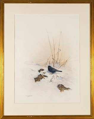 Lot 169 - Rare Birds of China by Frederick Lansdowne, with an original watercolor