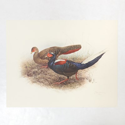 Lot 83 - Set of Limited Edition Prints for The Rare Bird of China by Fenwick Lansdowne