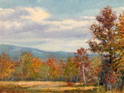 Lot 505 - American School