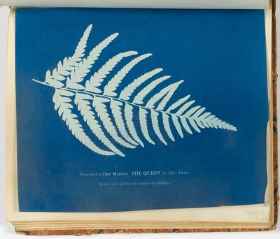 Lot 152 - With three cyanotypes by Anna Atkins