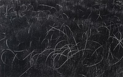 Lot 163 - Harry Callahan, Grasses, Wisconsin, 1958