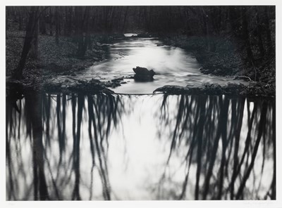 Lot 164 - Paul Caponigro Woods, Redding, Connecticut, 1968