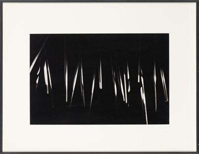 Lot 212 - Four gelatin silver prints by Nathan Lerner