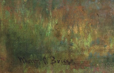 Lot 13 - Warren C. Briggs