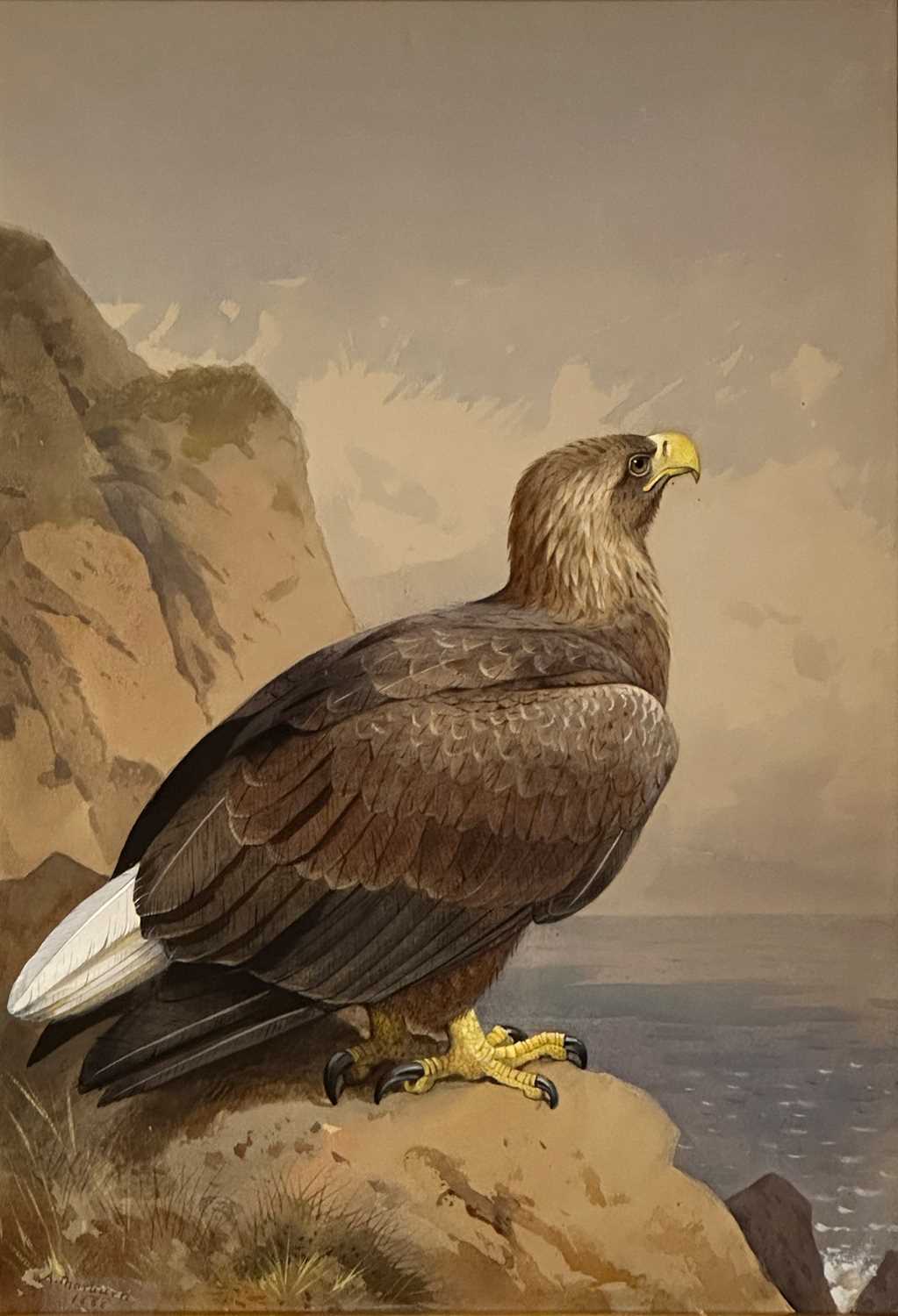 Lot 1010 - Archibald Thorburn