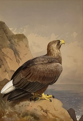 Lot 1010 - Archibald Thorburn