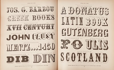 Lot 179 - The great Bruce type specimen of 1882