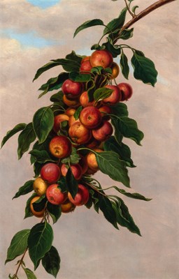 Lot 41 - George J. Robertson