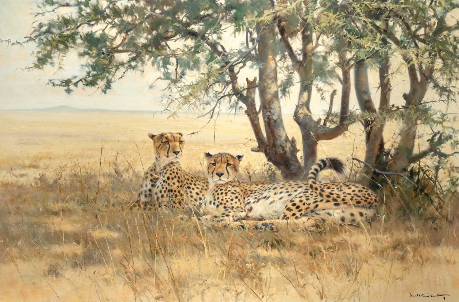 Lot 69 - Donald Grant