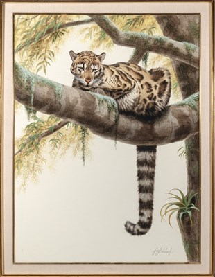 Lot 71 - Guy Coheleach