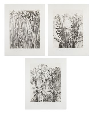 Lot 31 - Jim Dine (b. 1935)