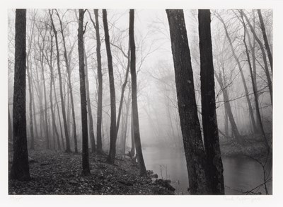 Lot 24 - Paul Caponigro, Fog and Trees, Redding, 1968