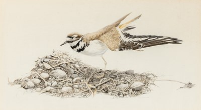 Lot 26 - Anthony Henneberg
