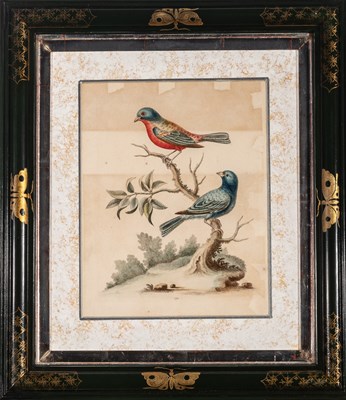 Lot 72 - George Edwards (1694-1773)