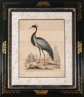 Lot 72 - George Edwards (1694-1773)