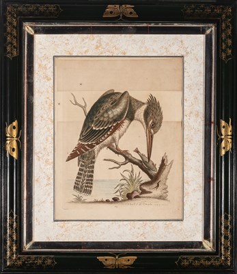 Lot 72 - George Edwards (1694-1773)