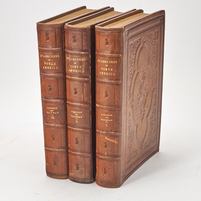 Lot 164 - First edition of the Audubon Quadrupeds