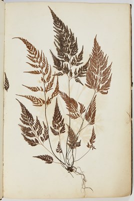 Lot 171 - An 1860s album of dried flowers from France, Italy, and Switzerland