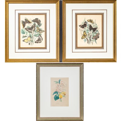 Lot 85 - W.F. Kirby