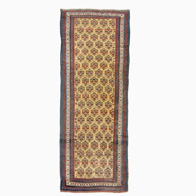 Lot 240 - Lesghi Runner