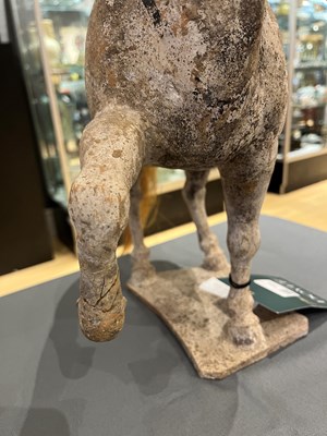 Lot 163 - A Chinese Painted Pottery Figure of a Horse