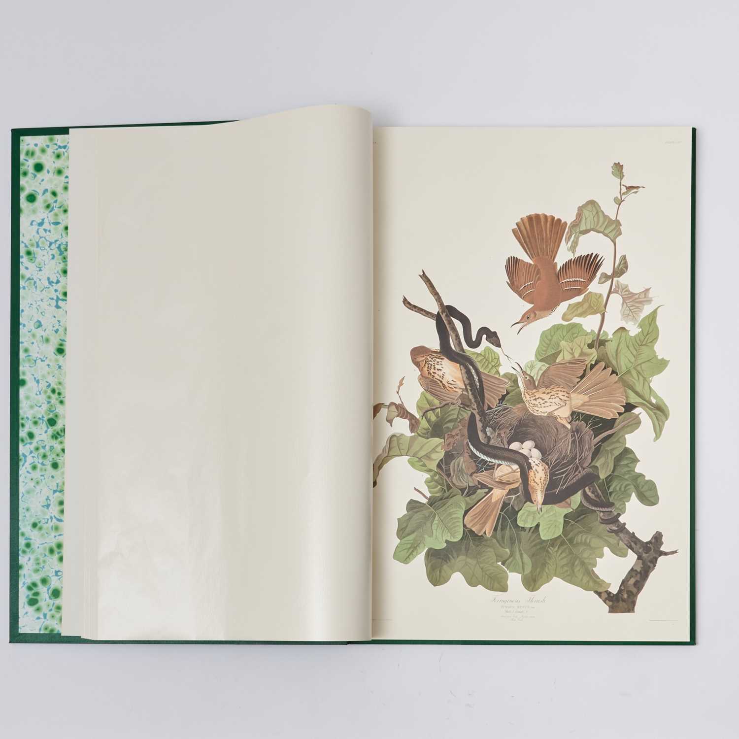 Lot 163 - The Abbeville Press facsimile of the elephant folio Audubon Birds of America