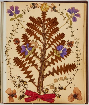 Lot 170 - A Victorian herbarium of artfully arranged pressed flowers, assembled in Western Australia in 1900