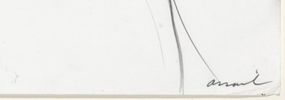 Lot 51 - Steven Assael