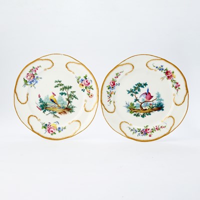 Lot 206 - Pair of Sèvres Hard-Paste Porcelain Ornithological Cabinet Plates