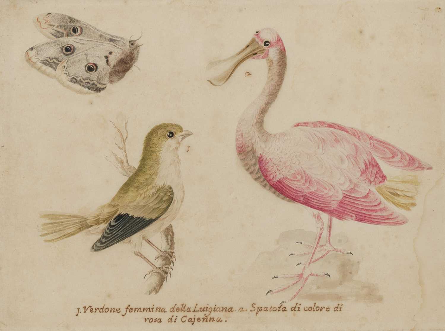 Lot 87 - Vincenzo Leonardi