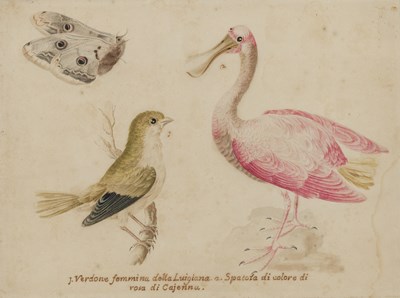 Lot 87 - Vincenzo Leonardi