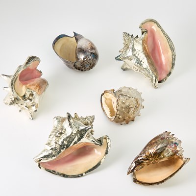 Lot 538 - Group of Six Silver Plated Natural Seashells