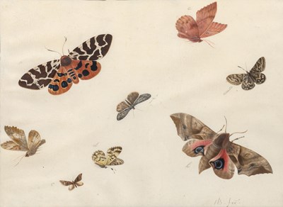 Lot 89 - Herman Henstenburgh