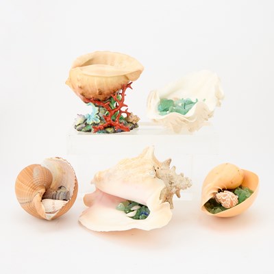 Lot 209 - Group of Five Natural Seashells with Sea Glass