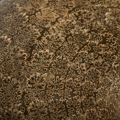 Lot 2 - A very large ammonite with fern-like sutures