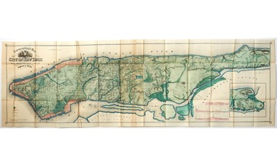 Lot 218 - Egbert Viele's great map of The Typography and Hydrology of New York