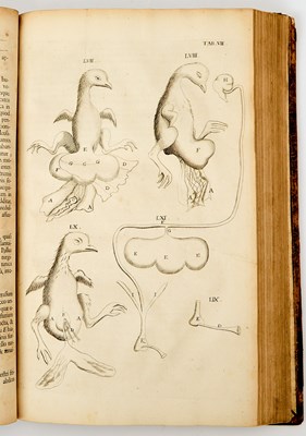 Lot 35 - The first issue of the Royal Society edition of Malpighi