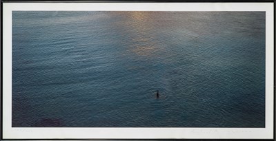 Lot 91 - Signed by Richard Misrach