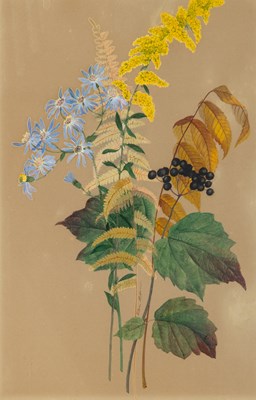 Lot 78 - Ellen Robbins