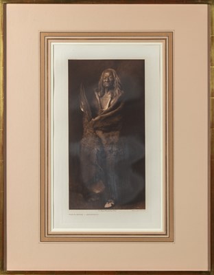 Lot 41 - Twelve fine portfolio plates from Curtis's The North American Indian