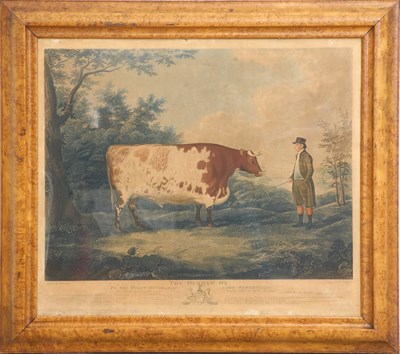 Lot 299 - After Boultbee