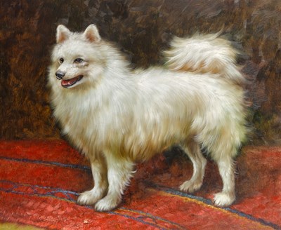 Lot 1043 - Cassidy