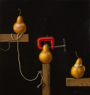 Lot 7 - Scott Fraser