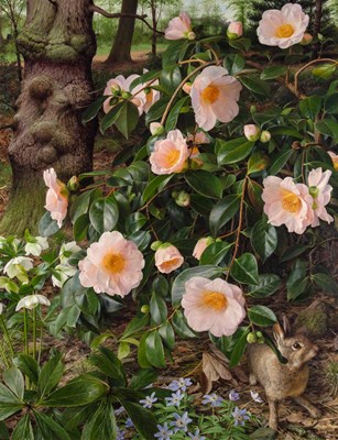 Lot 35 - Raymond C. Booth