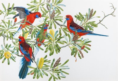 Lot 591 - Robin Hill