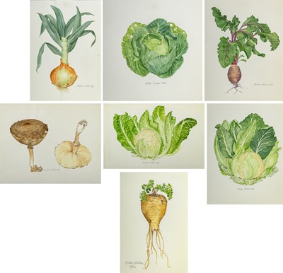 Lot 38 - Alastair Gordon