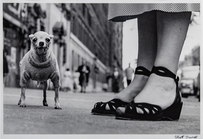 Lot 39 - Elliott Erwitt, New York City (Dog and Feet), 1946.